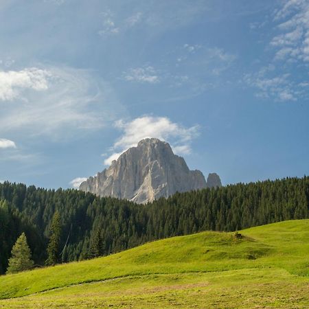 Villa Insam Selva di Val Gardena Dış mekan fotoğraf