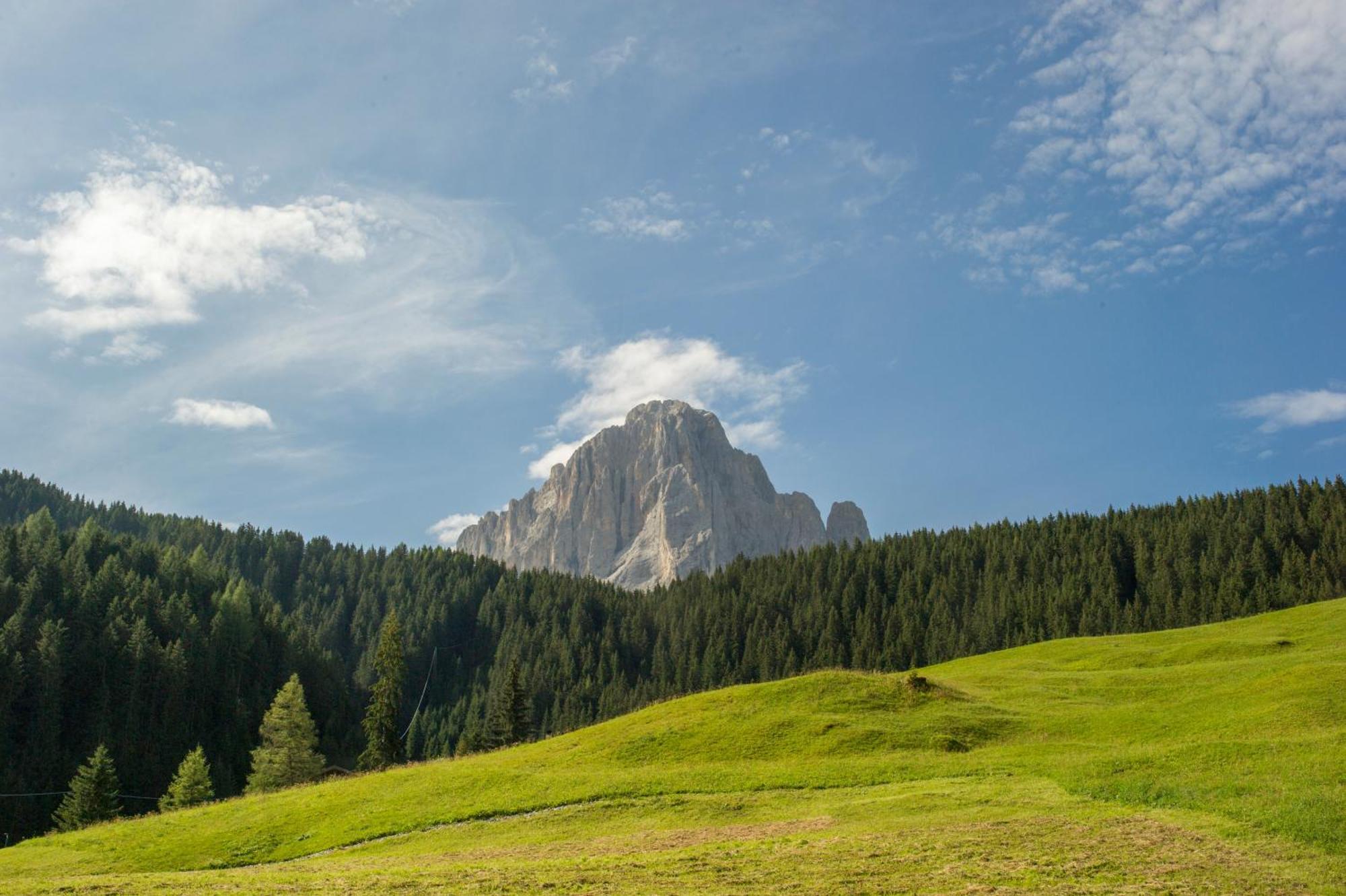 Villa Insam Selva di Val Gardena Dış mekan fotoğraf
